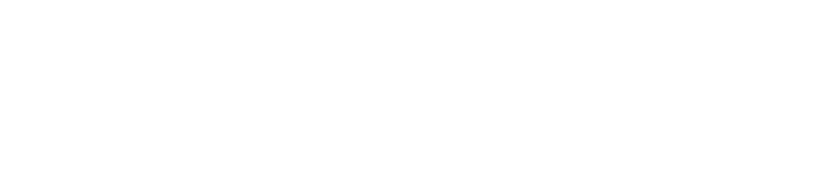 Five Star Dolphins English School